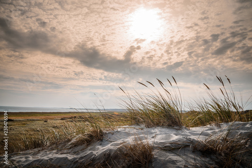 Dünenlandschaft auf der Insel Amrum © Henry Czauderna