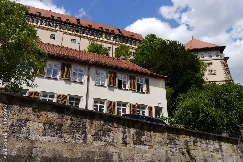 Neckarhalde und Schloss Hohentübingen Neckarhalde und Schloss Hohentübingen