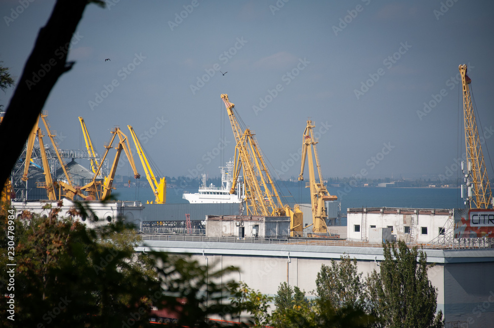 cranes in the port port of odessa