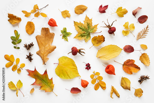 Fallen autumn leaves