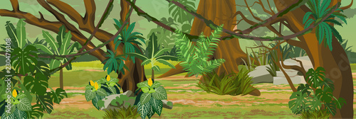 Thick non-walkable jungle. A tropical forest. Rainforests of Amazonia. Tree, epiphytes, ferns, grass, creepers, banana trees, flowers and monsteras. Realistic Vector Landscape