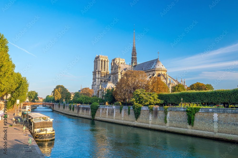 Naklejka premium Piękna Notre Dame de Paris