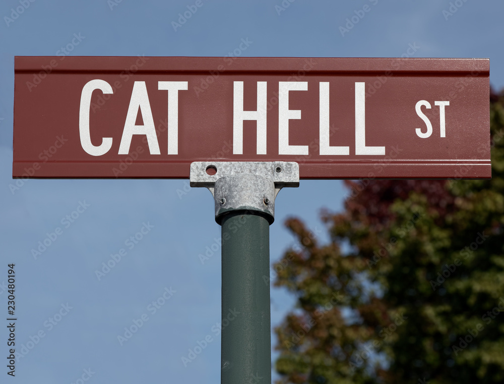 Obraz premium CAT HELL ST street sign.