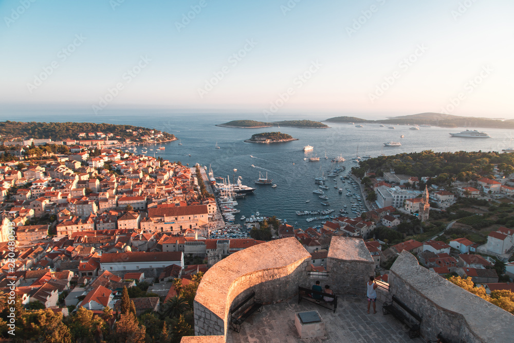 Fototapeta premium castle over the city