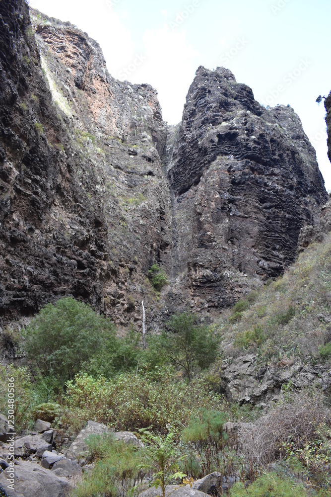 Hiking trail at the famous canyon Barranco del Infierno in Adeje in the South of Tenerife, Europe Hiking trail at the famous canyon Barranco del Infierno in Adeje in the South of Tenerife, Europe