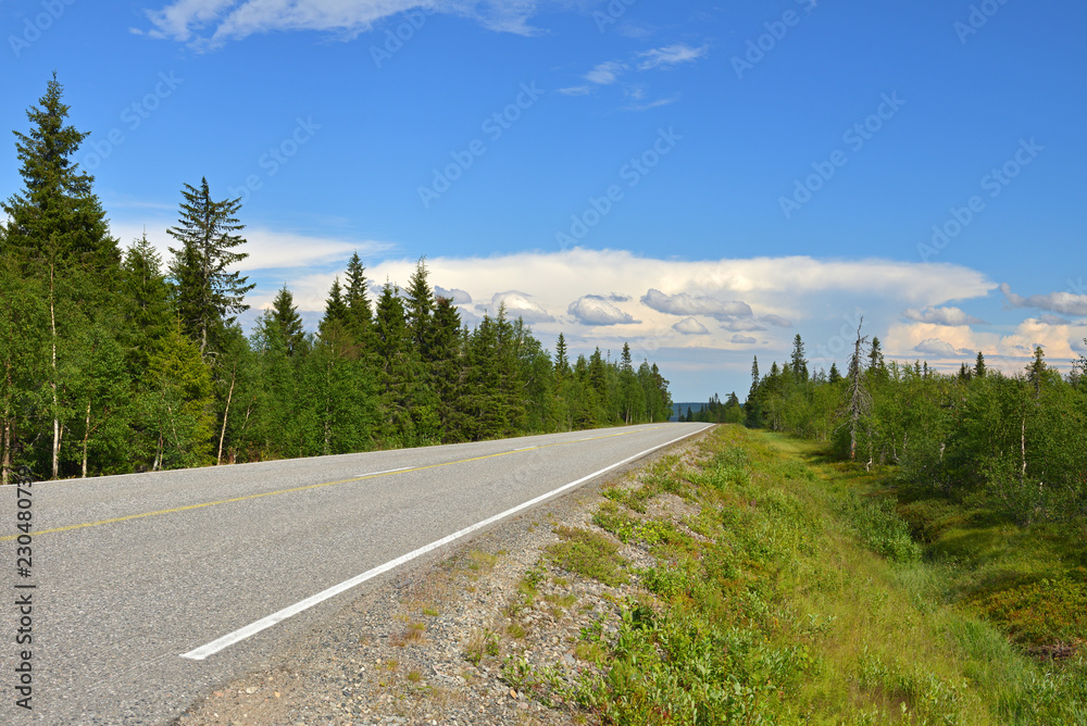 North road. Summer landscape. Finnish Lapland