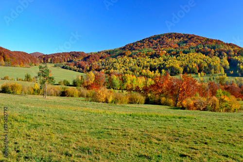 Beautiful colors of autumn in october, Low Beskids (Beskid Niski)