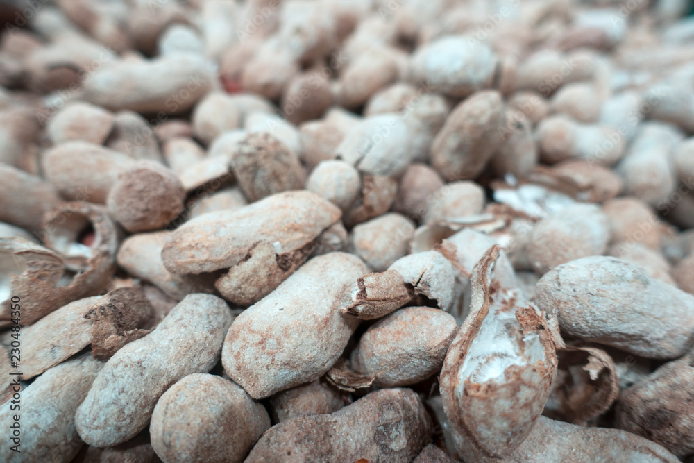 Sun drying peanuts background.