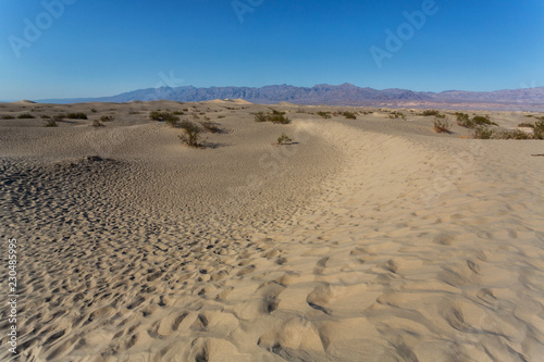 Mesquite Flat Sand Dunes in Death Valley, United States