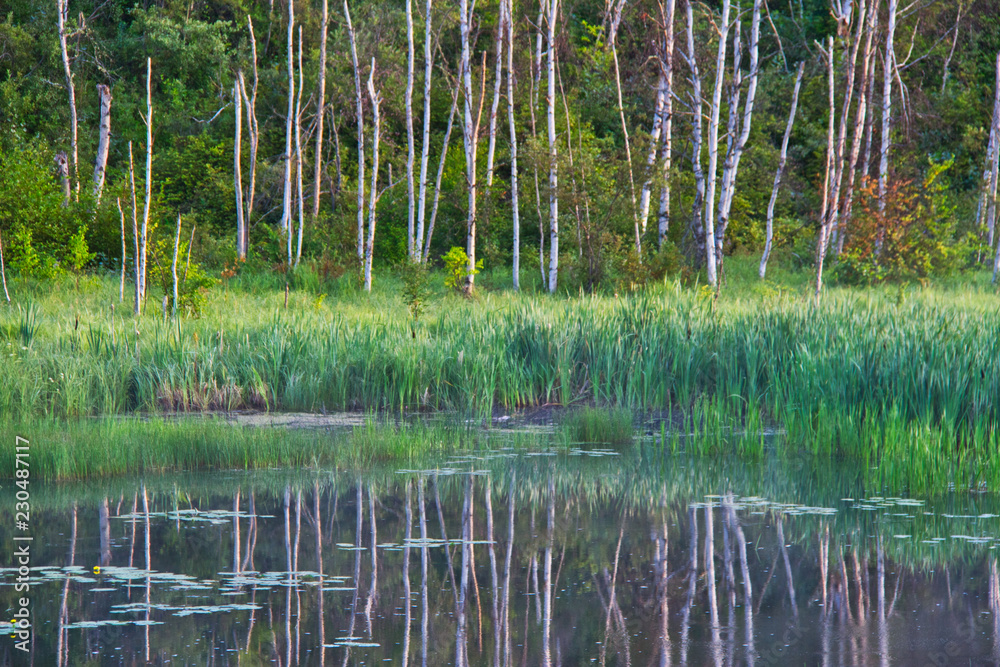A lake in Prince Albert National Park in the early morning hours. A lake in Prince Albert National Park in the early morning hours.