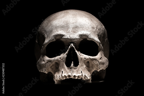 Human skull on black background close up photo