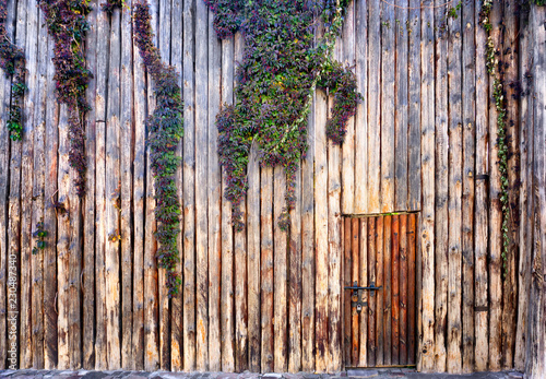 Vine covered log wall with a door