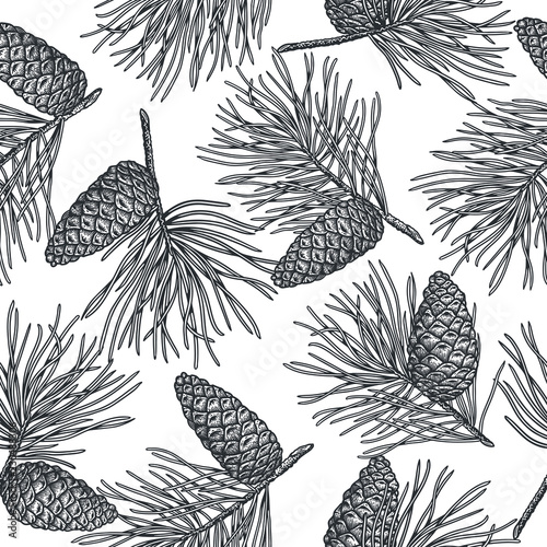 Hand draw engraving of a pine cone with cedar branches in a seamless pattern.