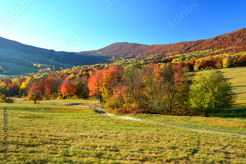 Beautiful colors of autumn in october, Low Beskids (Beskid Niski)