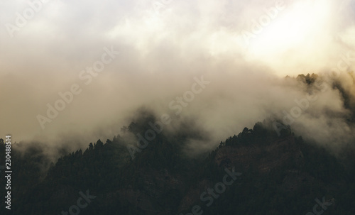 tenerife, Tenriffa, Hiking, green, urlaub, wandern, landscapes,  tree, cloud, view, trip, sky, sunset, nuture, sun, mountains, adventure, sea, sand, blue, water, outdoor, wave, © eddy