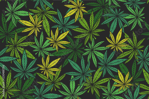 Cannabis color pattern photo