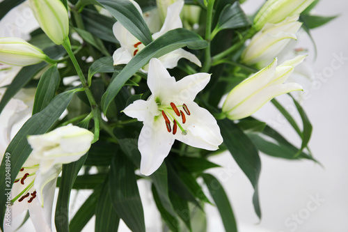 Fototapeta Naklejka Na Ścianę i Meble -  Large bouquet of beautiful white lilies