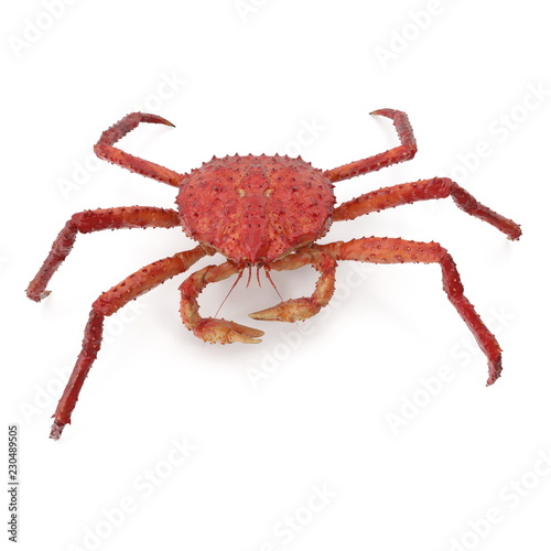 Red King Crab Kamchatka Isolated On White Background. 3D Illustration