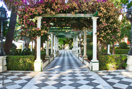 A park with a walkway covered with blooming flowers. photo