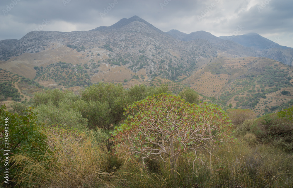 Hania, Crete - 09 25 2018: Polirinia. Small mountain. Panoramic view on fields and mountains. Trees in front