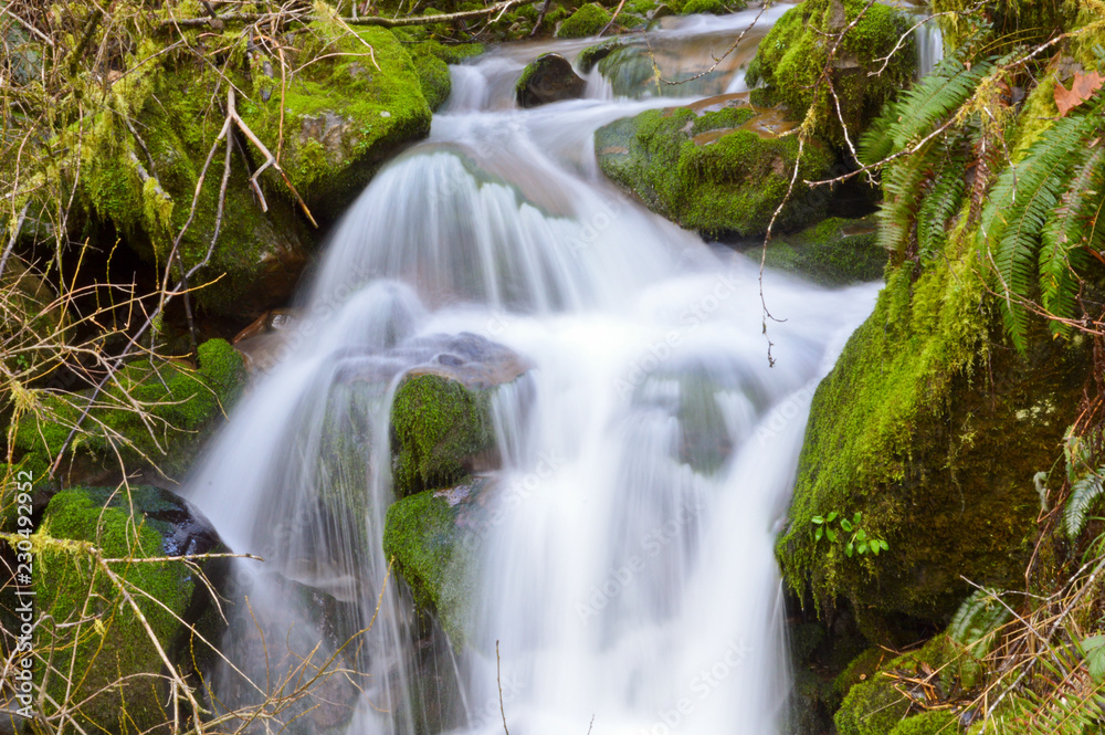 Flowing Creek Flowing Creek