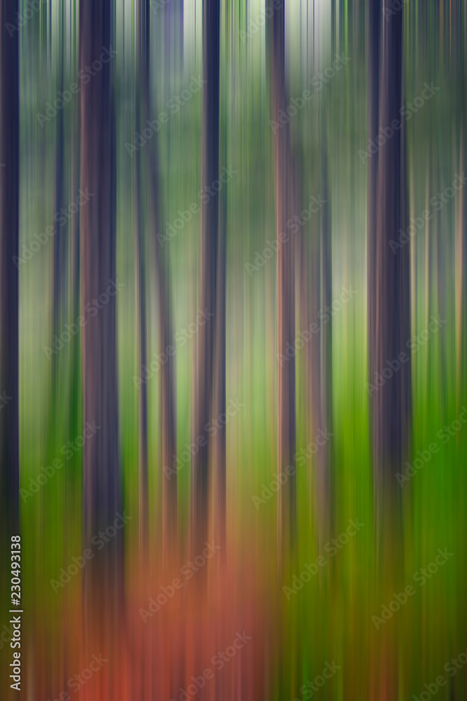 Obraz premium abstract green forest in motion 