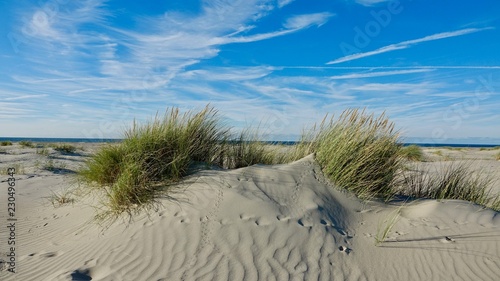 Dünenlandschaft am Meer in Zeeland, Niederlande