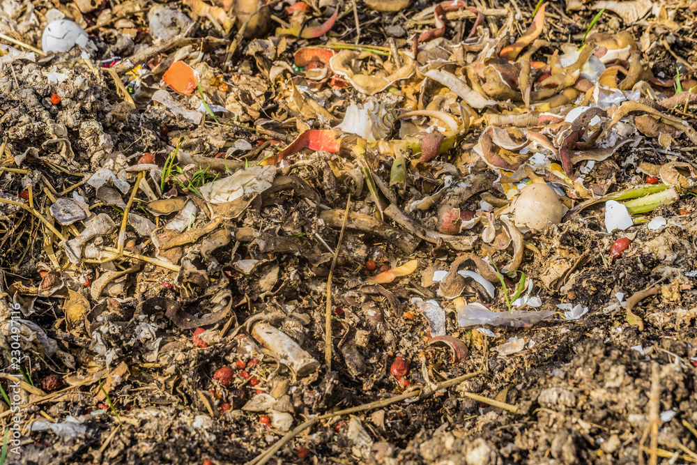 Agricultural food waste dump. Compost pit detail. Agricultural food waste dump. Compost pit detail.