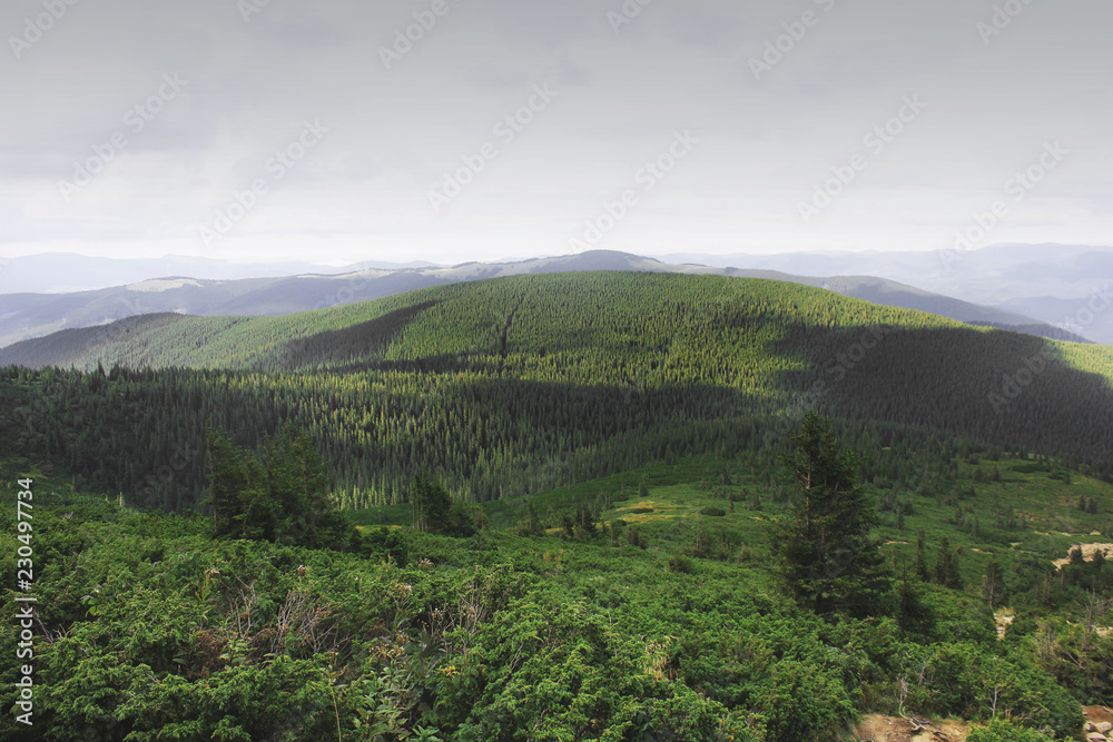 Fototapeta premium Beautiful forest and mountains