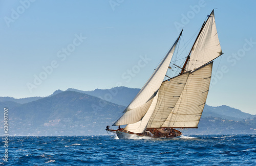Sailing yacht regatta. Yachting. Sailing © Alvov
