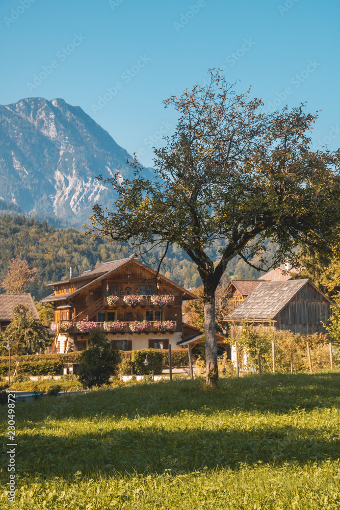 Fototapeta premium Beautiful alpine view at Altaussee-Steiermark-Austria