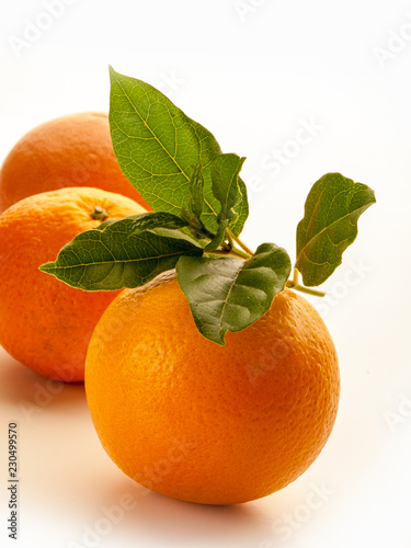 Tres naranjas enteras con sus hojas en primer plano sobre fondo blanco