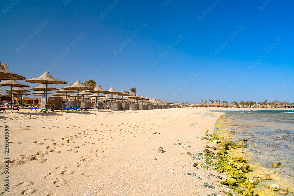 beach with umbrellas and chairs on beach