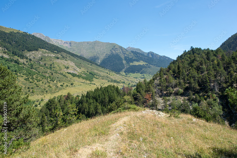 Fototapeta premium Road to Montgarri through the mountain of Aran Valley