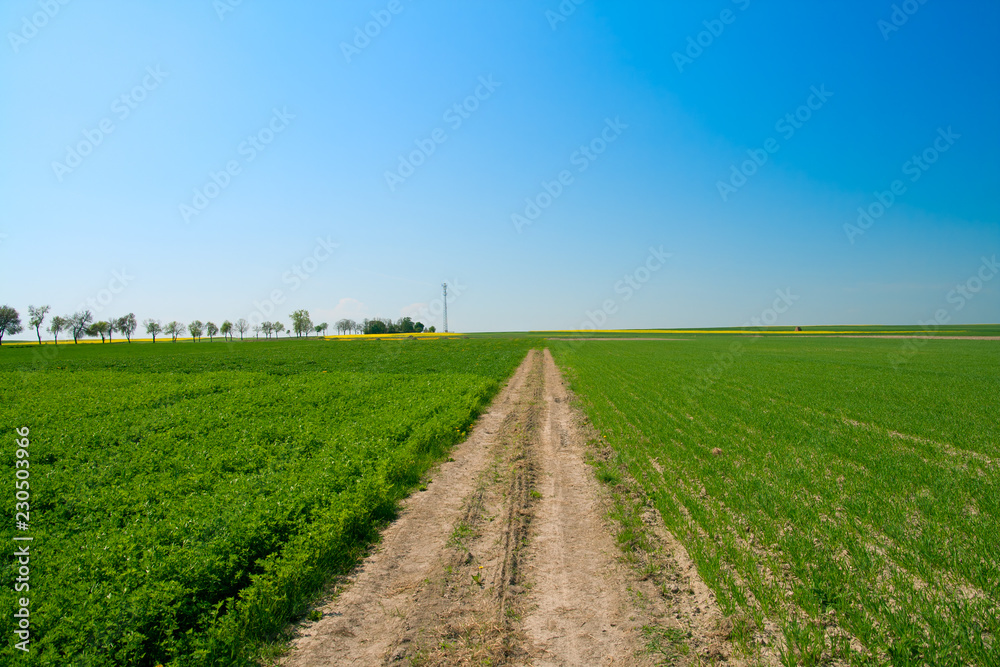 road in the field road in the field