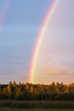 Rainbow over farm field and forest