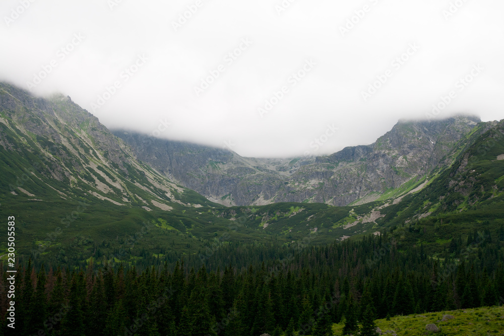 Hala Gąsiennicowa valley in Tatra mountains