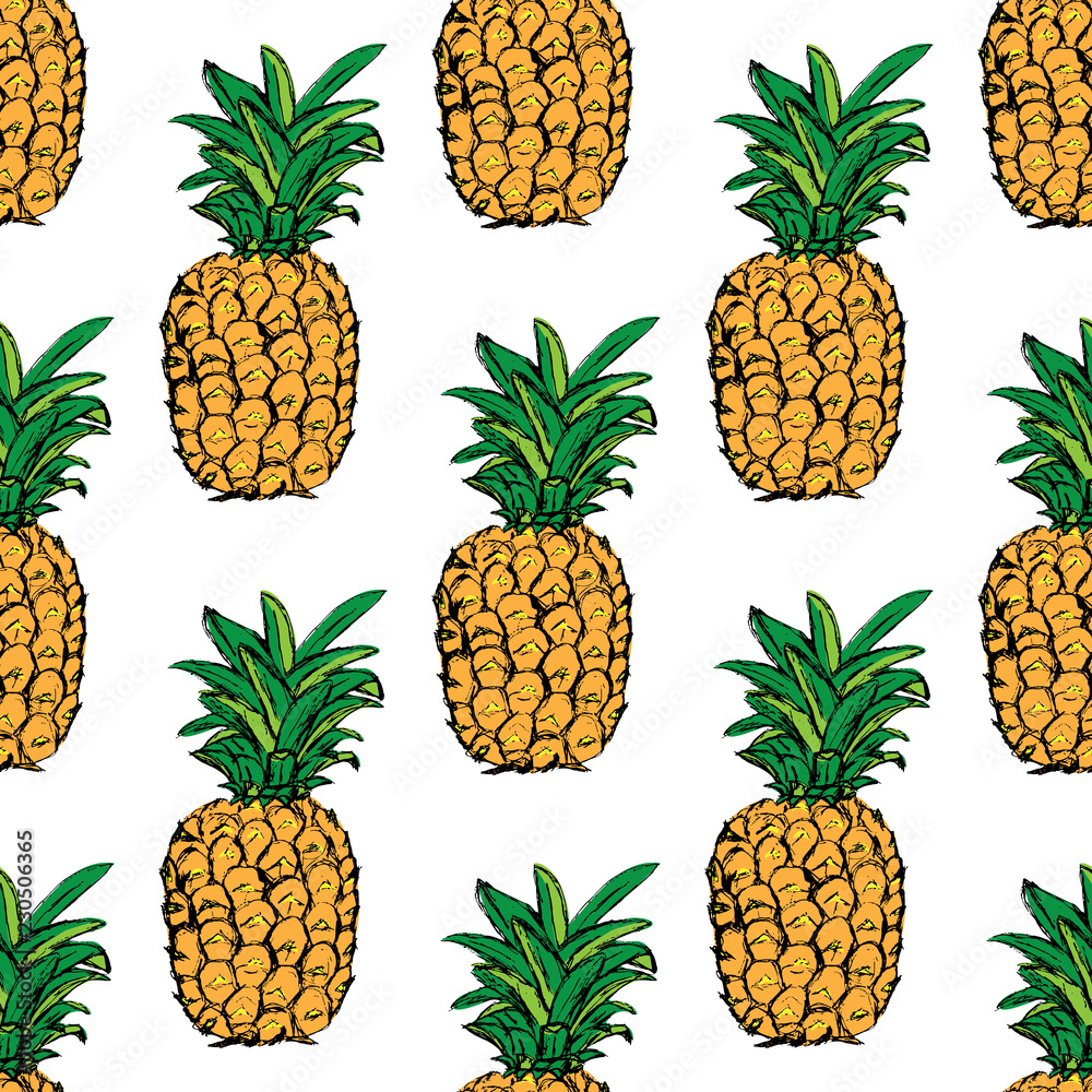 Pineapple. Exotic tropical fruit. Sketch. Pattern Pineapple. Exotic tropical fruit. Sketch. Pattern