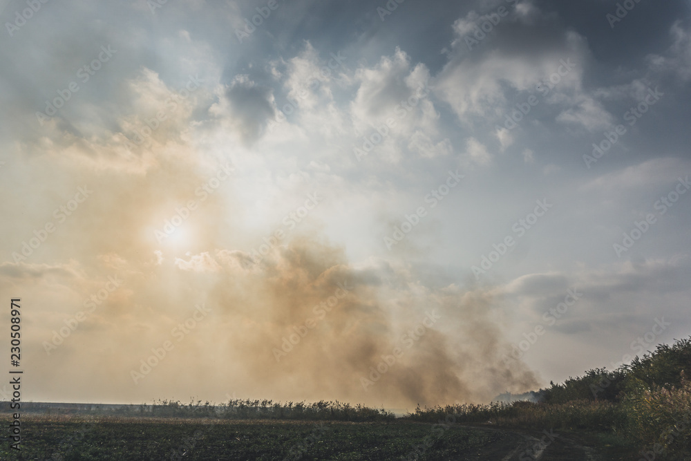 Huge smoke cloud of burning corn field.Burning corn field after the harvest Huge smoke cloud of burning corn field.Burning corn field after the harvest