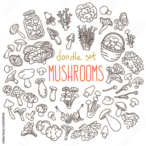 Mushrooms doodles set. Hand drawn vector illustration isolated on white background