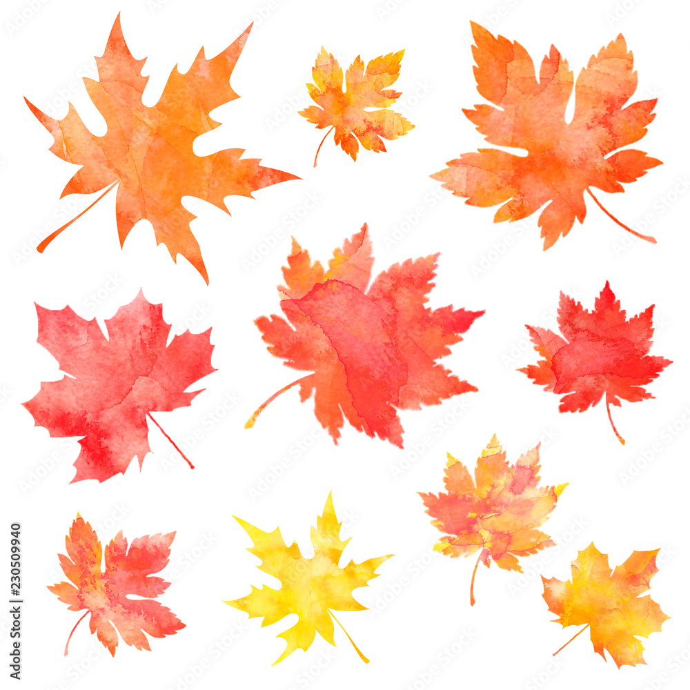 autumn maple leaves autumn maple leaves