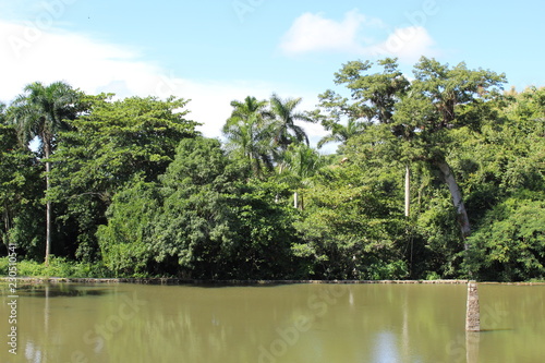 Foto Cuba Pinar del Rio