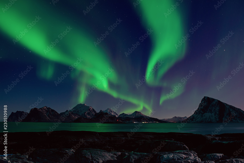 Northern Lights, Aurora Borealis shining green in night starry sky at winter Lofoten Islands, Norway