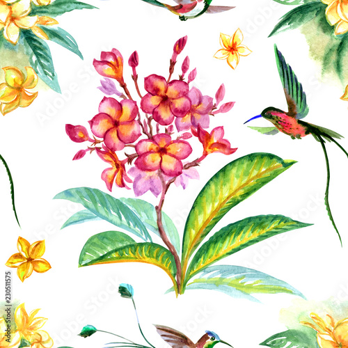 Seamless pattern of flowers plumeria and hummingbirds, watercolor illustration on white background. Tropical print for fabric, background for various designs.