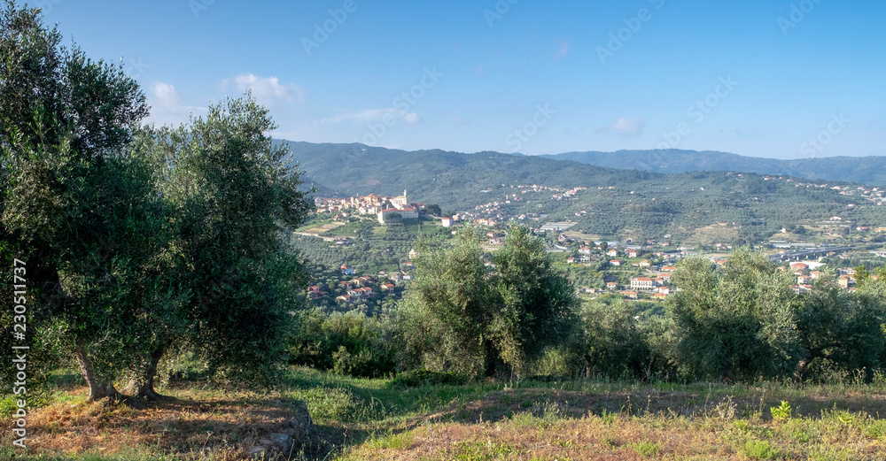 Vieuw over Diano Castello from an Old olive orchard Italy Vieuw over Diano Castello from an Old olive orchard Italy