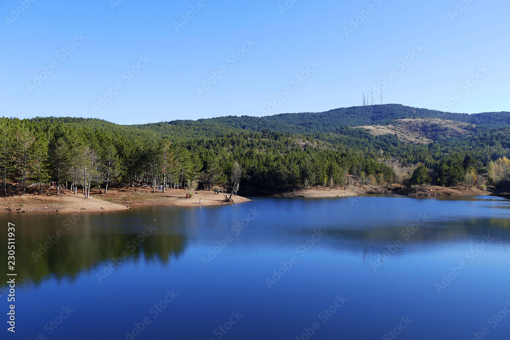 yozgat turkey forest and lake scenery,yozgat turkey pine grove national park, yozgat turkey forest and lake scenery,yozgat turkey pine grove national park,