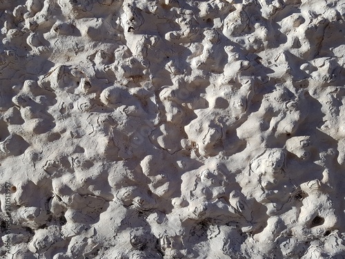 Rough texture background