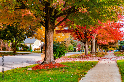 Suburban Neighborhood Sidewalk and Street in Autumn 