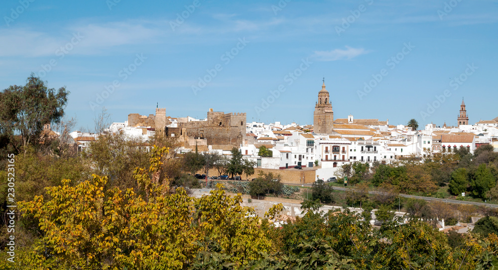 View of Carmona in Andalusia