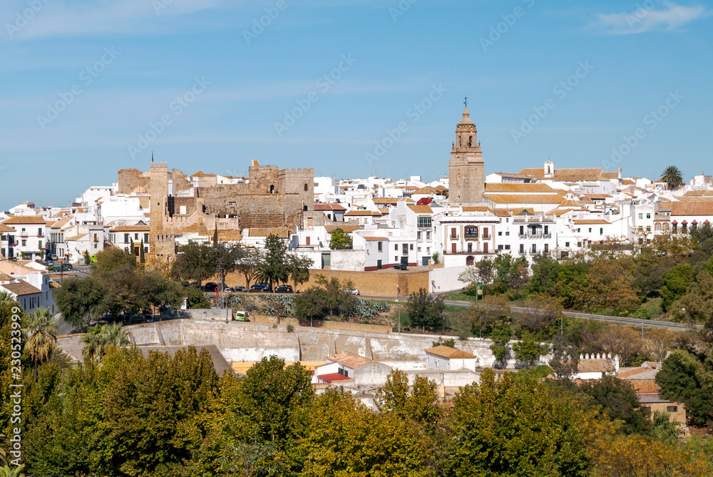 View of Carmona in Andalusia